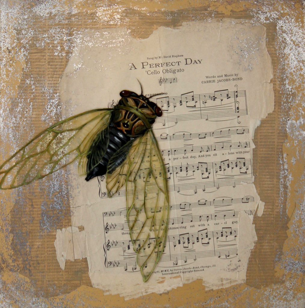 Passing Time (Cicada)