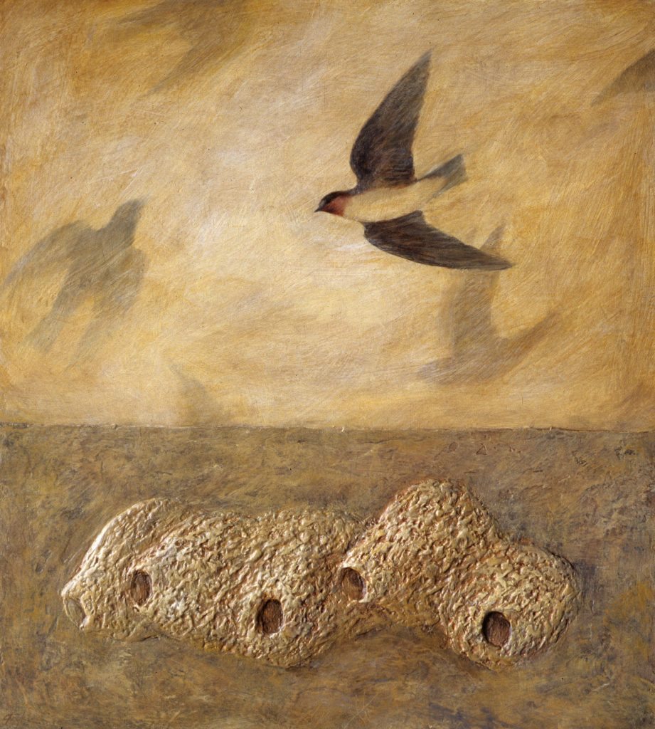 Animal Works (Cliff Swallow Nests)