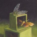Collecting the Wild (Cicada)