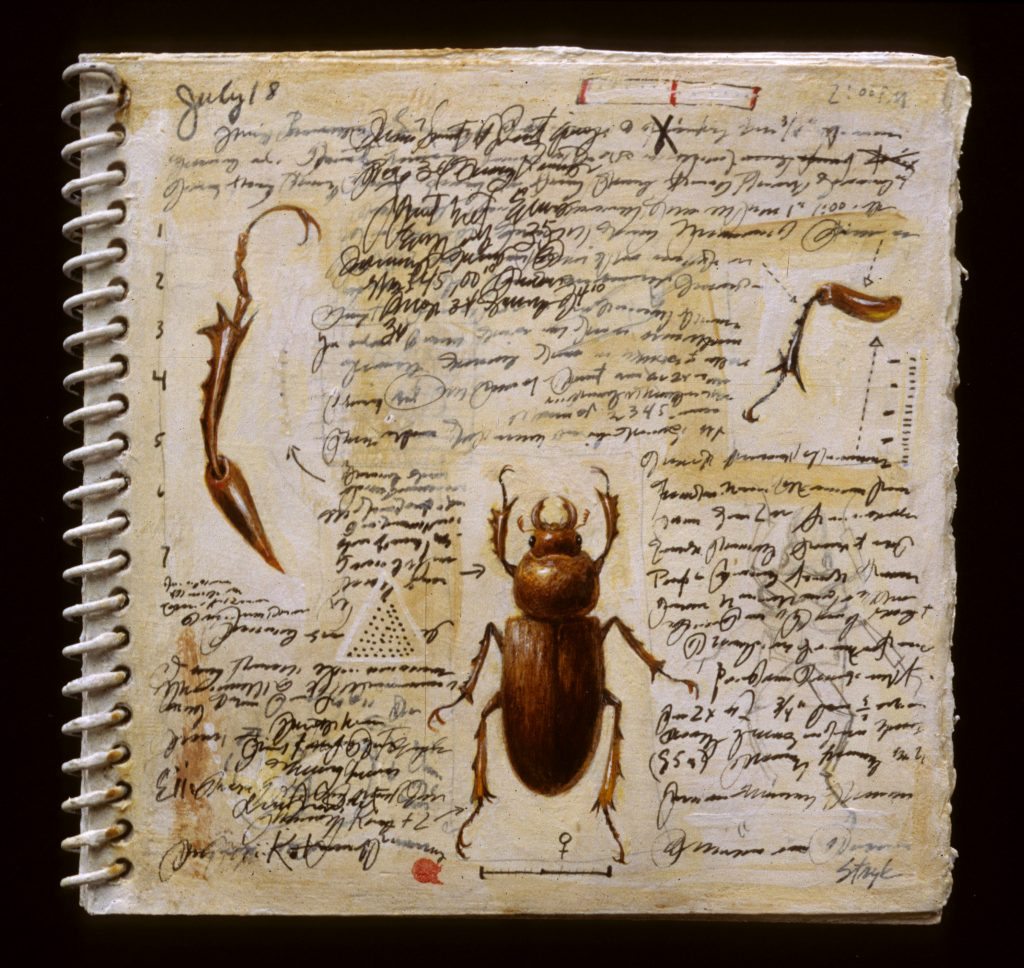 Field Book (stag beetle)