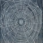 Animal Works (Spider Web)