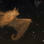 Bestiary Series (Bat)