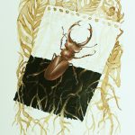 Elephant Stag Beetle